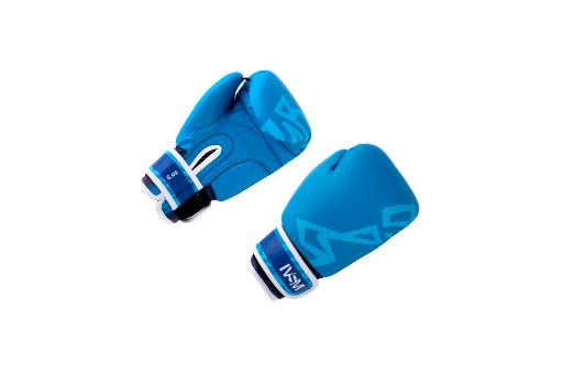 IVSM MMA Gloves  (BLUE)