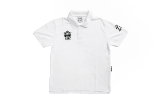 UAE Jiu-Jitsu Polo T-shirt Falcon for Men | Martial Arts T-shirt for Men | Taekwondo T-shirt for Men | T-shirt for Martial Arts | Karate T-shirt for Men | T-shirt for Judo Karate